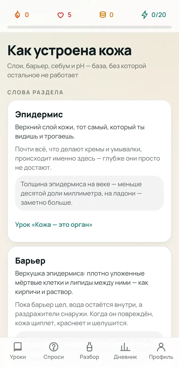Справочник раздела